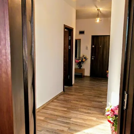 Apartament Hanul Piratilor * Navodari